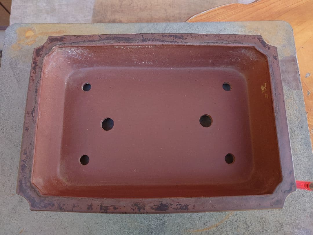 盆栽　鉢　中国宜興　玉芬　幅33.5cm