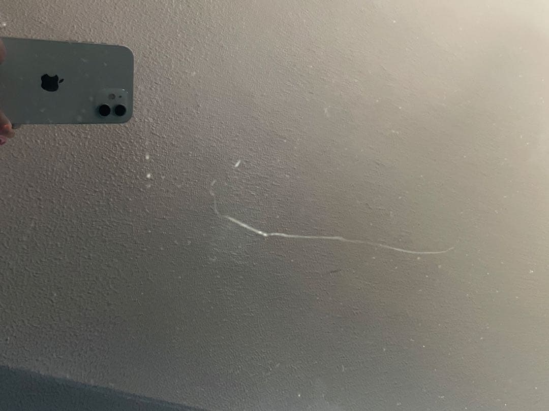 Apple Thunderbolt ディスプレイ 27インチ A1407