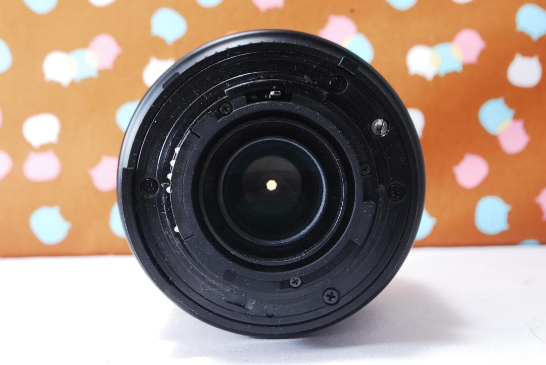 ✨美品✨ハイアマチュア機✨Nikon D100 レンズセット