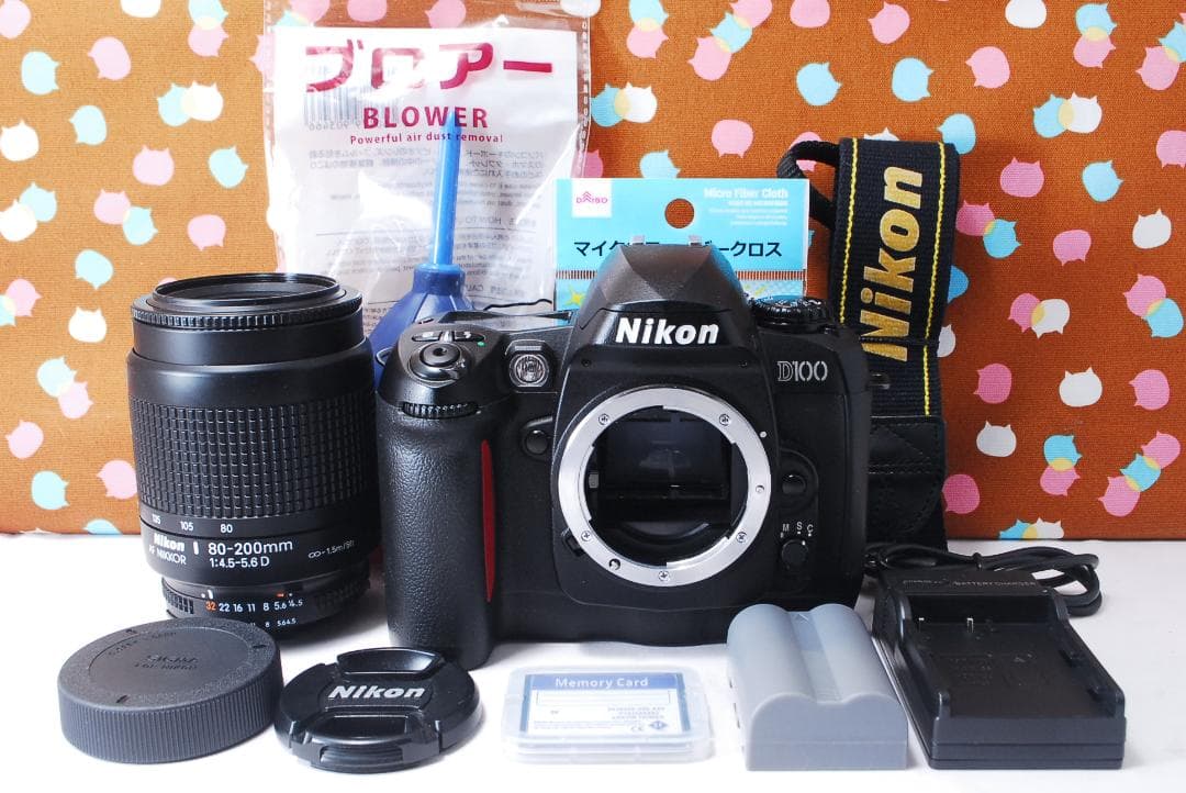 ✨美品✨ハイアマチュア機✨Nikon D100 レンズセット