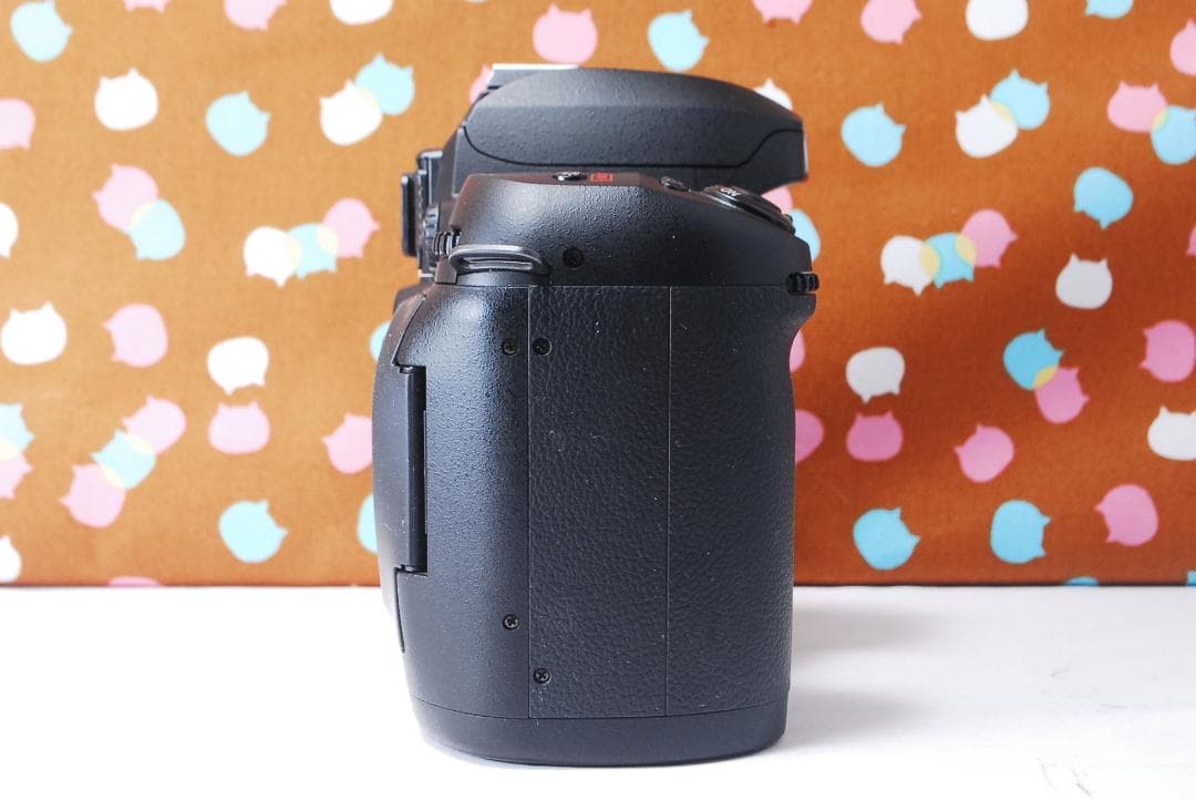 ✨美品✨ハイアマチュア機✨Nikon D100 レンズセット