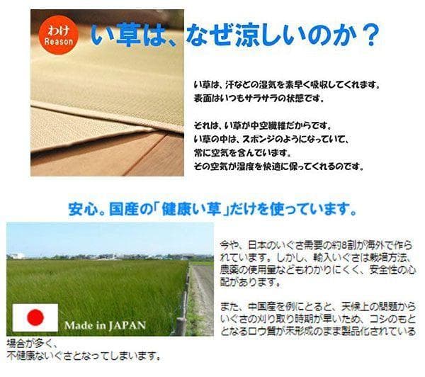 添島勲商店 国産 い草花ござ ラグマット 約174×174cm No925