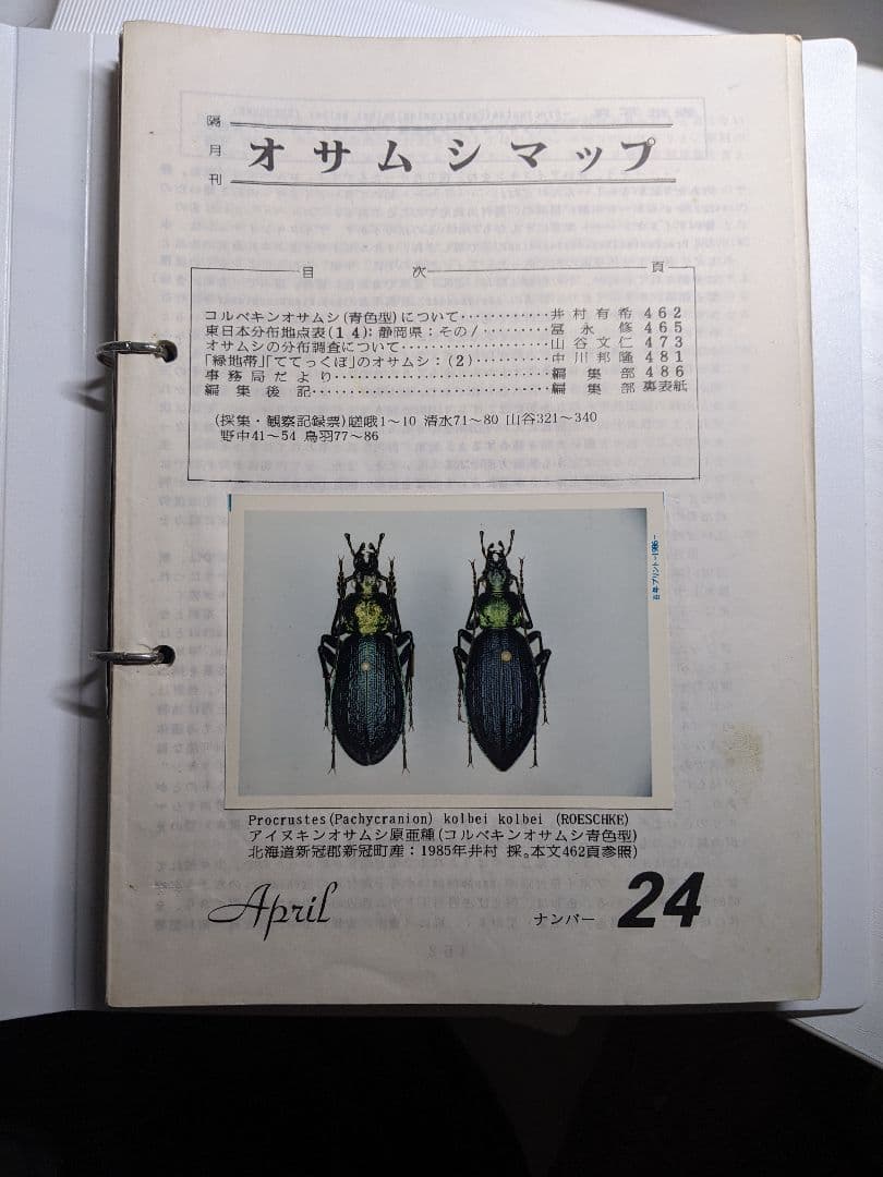 オサムシマップ 12-41不揃い