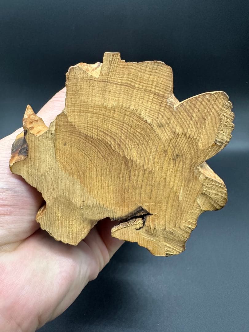 木彫　柘植 達磨 立像 古美術骨董