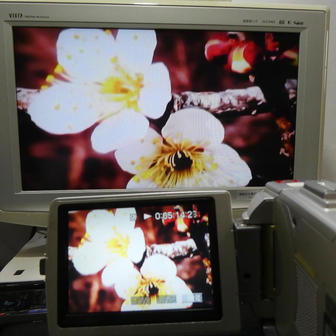 動作品 ソニーDCR-TRV50 MiniDV ビデオカメラ DVDダビングに