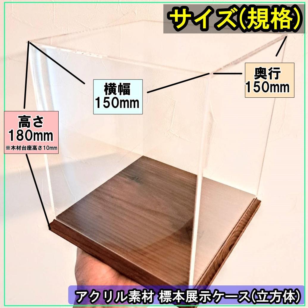 【ショーケース】150×150×180 ※アクリル製ケース、無垢材土台