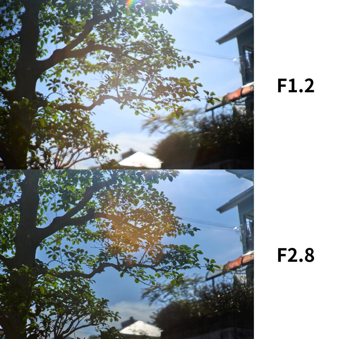 フィルムカメラ CANON 50mm F1.2 L39