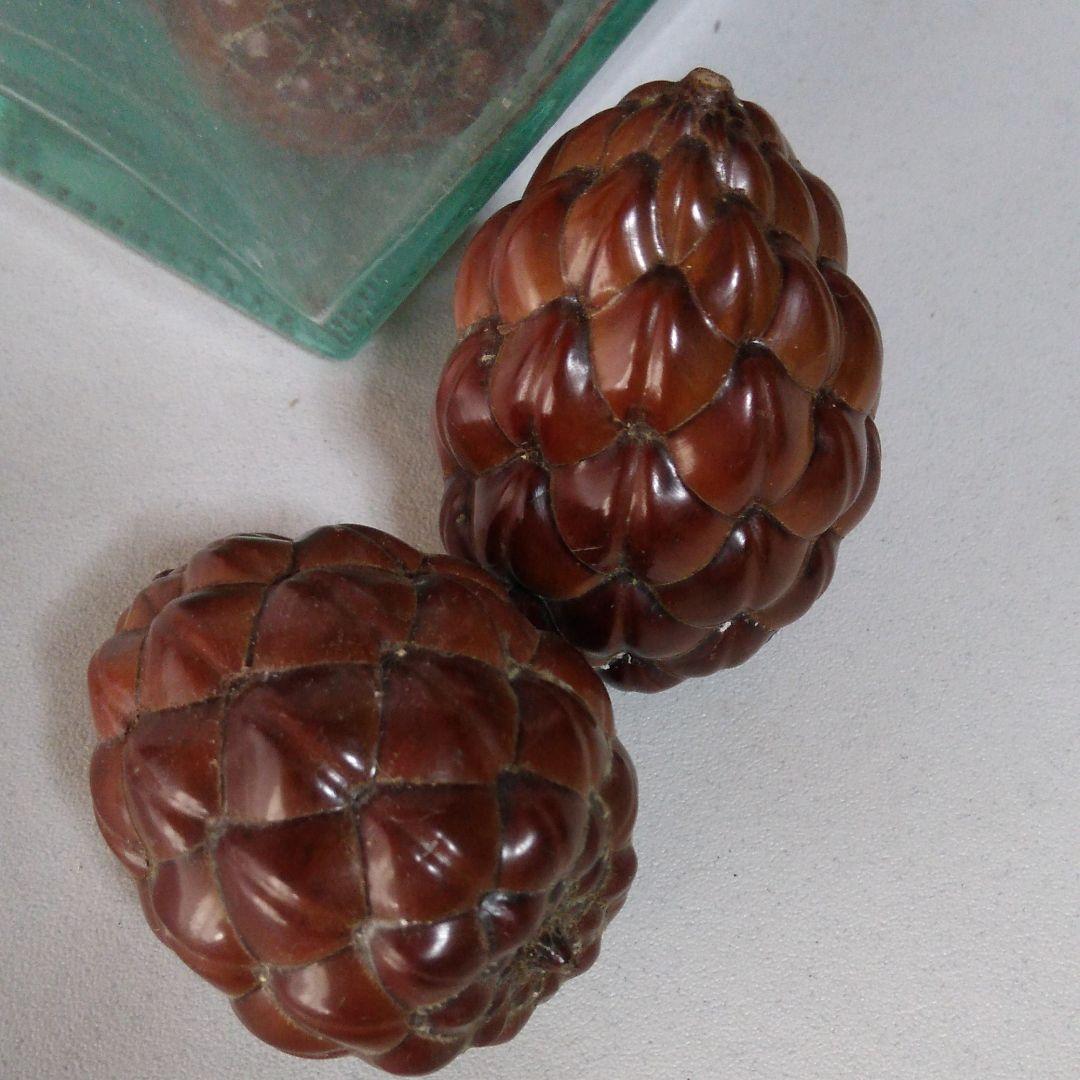 蓋無し、インテリア瓶です！