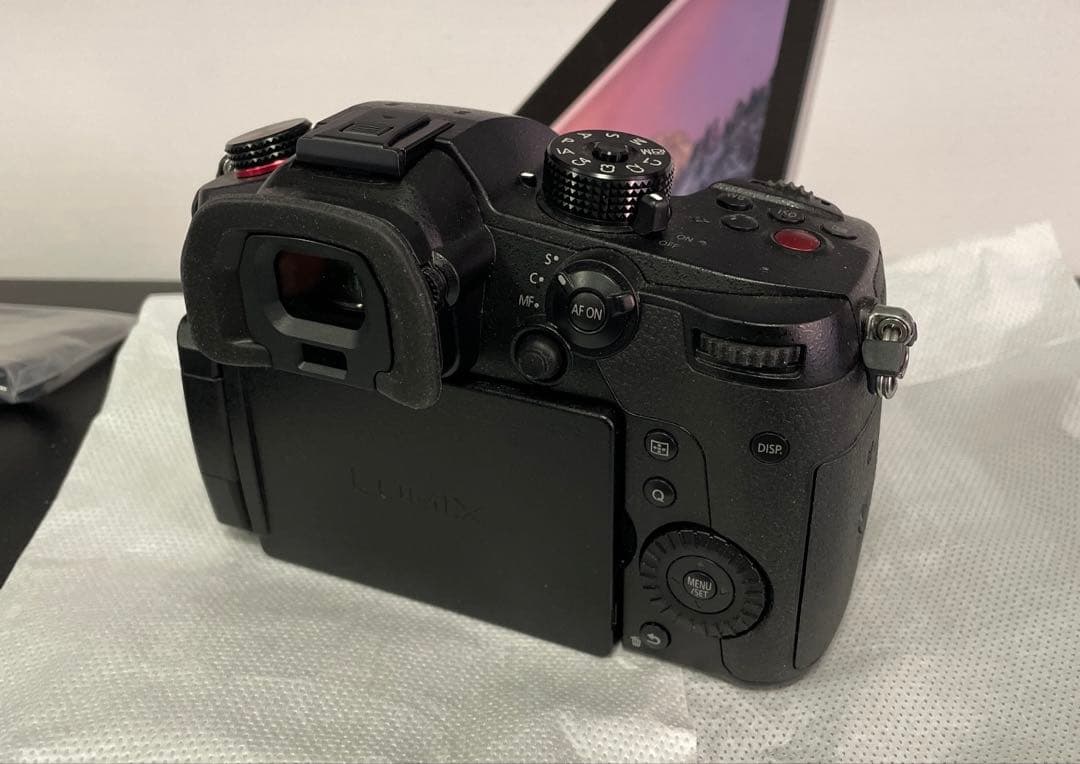 【超美品／シャッター回数極少】Panasonic LUMIX DC-GH5M2M