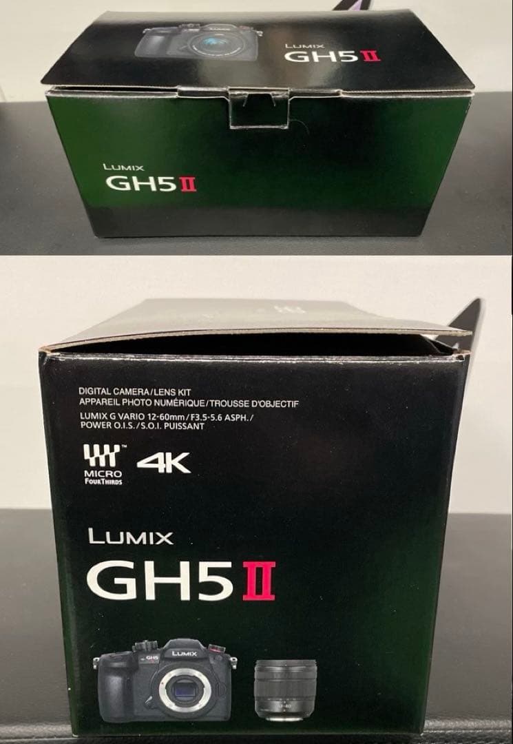 【超美品／シャッター回数極少】Panasonic LUMIX DC-GH5M2M