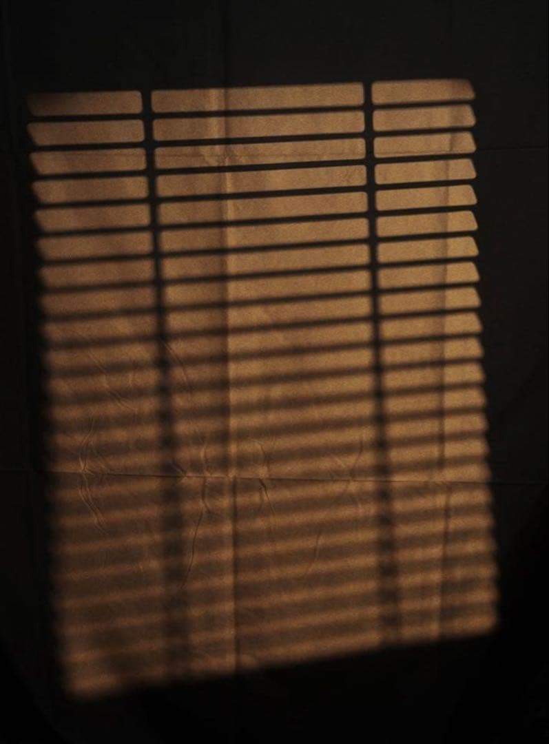 ZSYB-36 プロジェクションアタッチメントマウント 36°レンズ付属