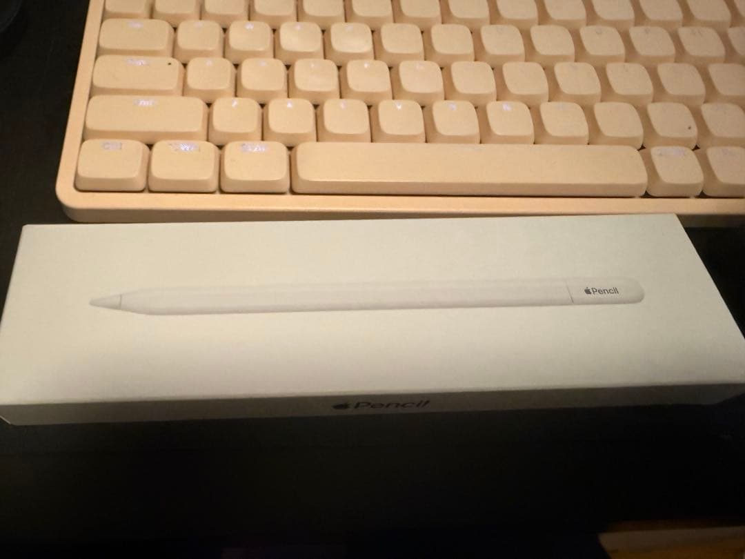 iPadアクセサリー Apple Pencil (USB_C)