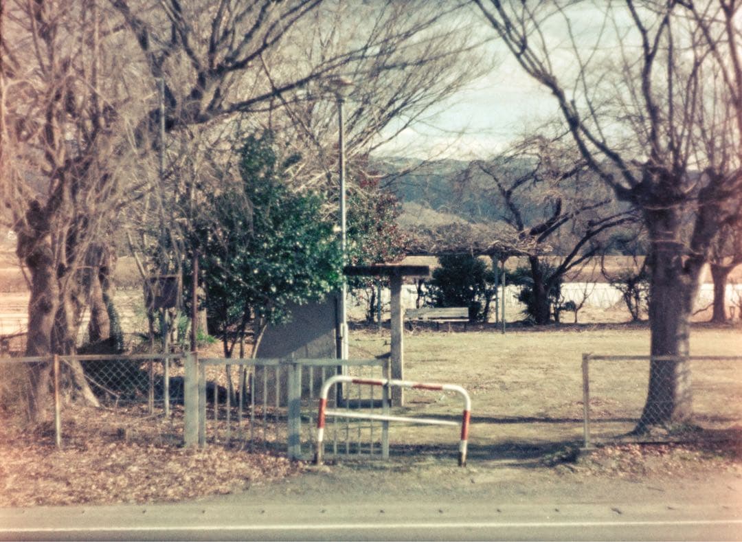 KONICA AUTOREX ハーフカメラ テスト撮影済み