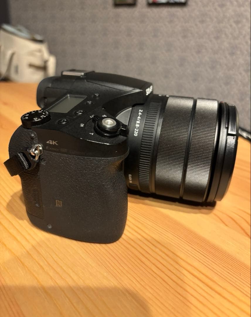 SONY ソニー　DSC-RX10M Ⅳ