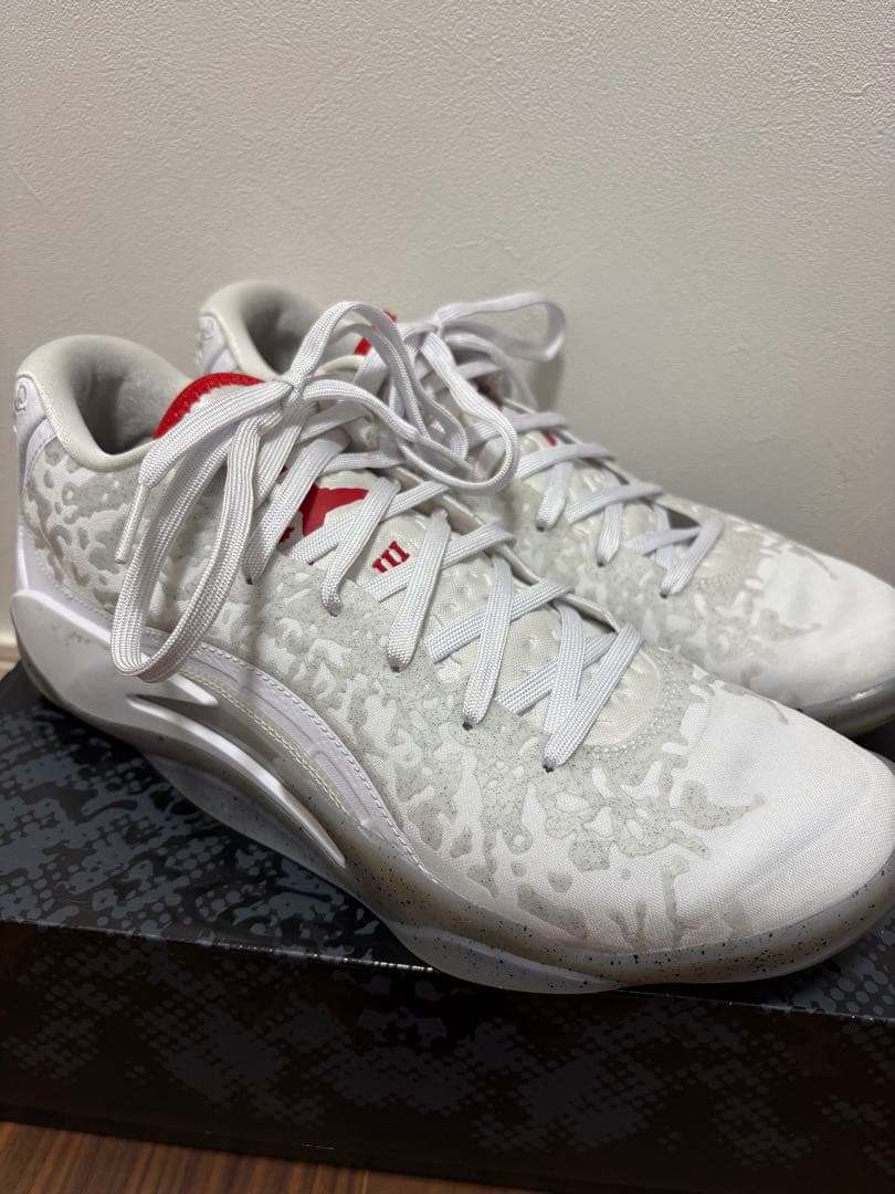 【美品】ジョーダン ザイオン3 PF Zion 3 バッシュ　NIKE ナイキ