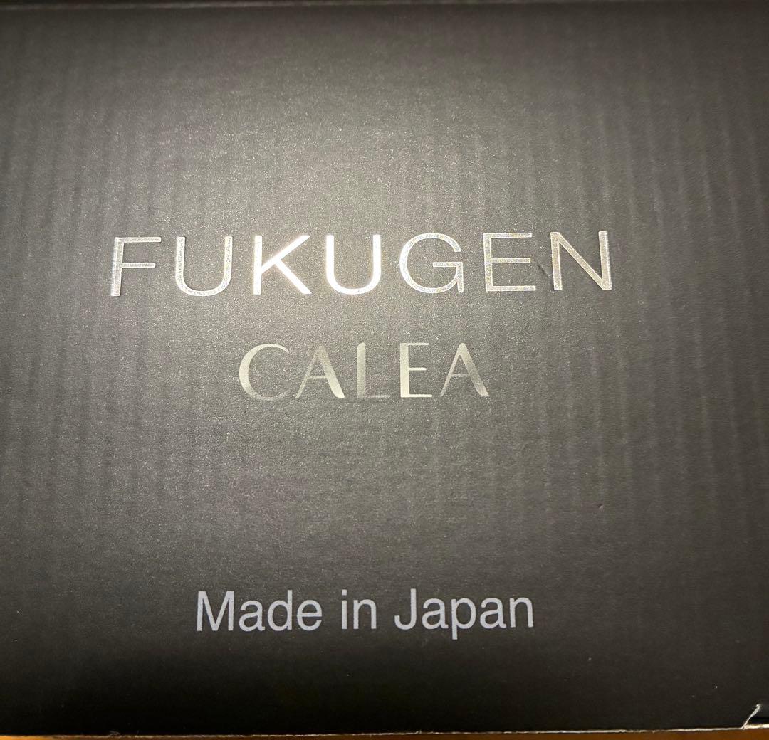 【未使用】FUKUGEN CALEA ヘアドライヤー ホワイト