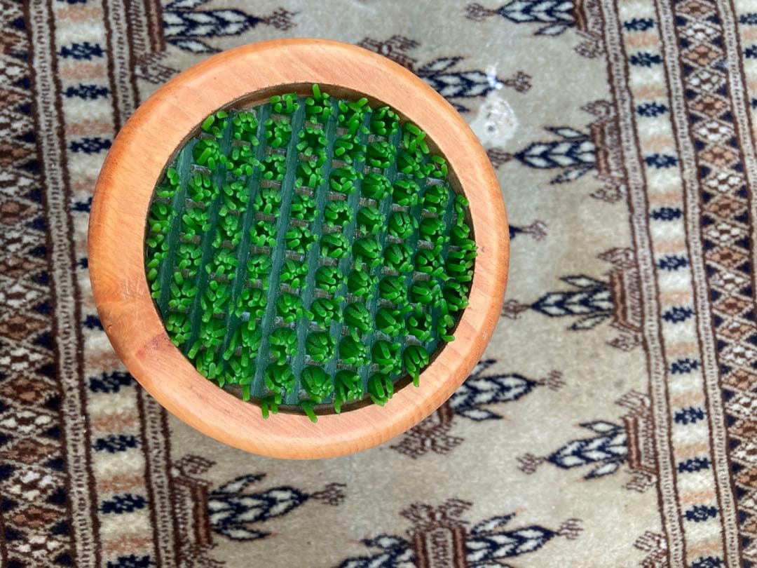 中型ファルコンブロック、猛禽パーチ（屋内用Mサイズ）