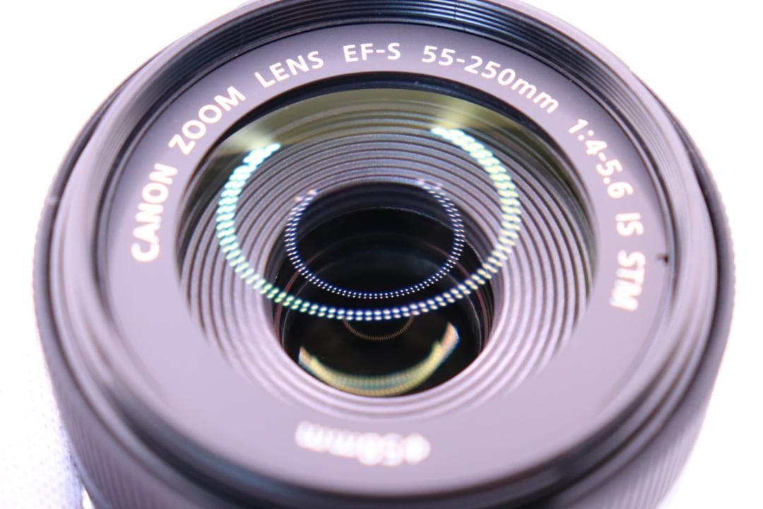 【新品級・保証付】Canon EF-S 55-250mm IS STM レンズ⑤