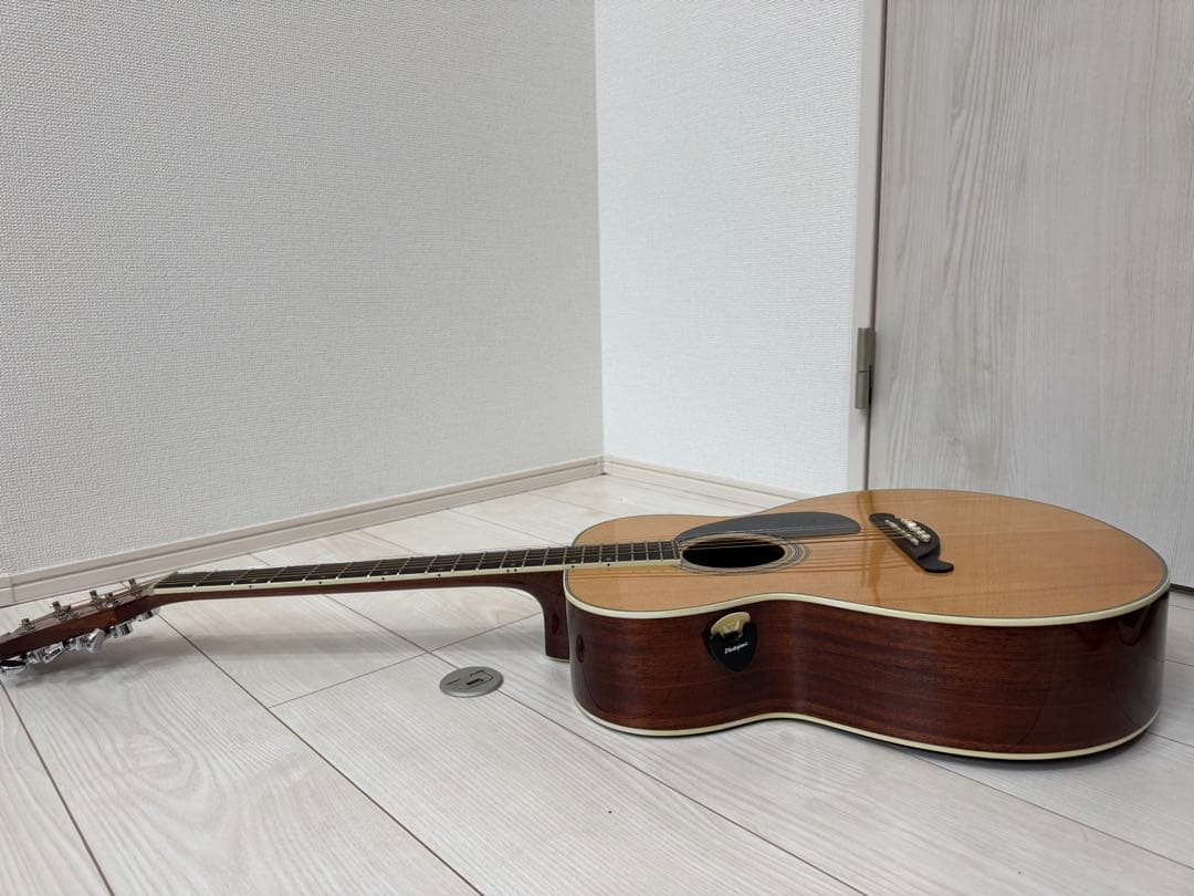 【お得】James JF350NAアコースティックギター ハードケース付き