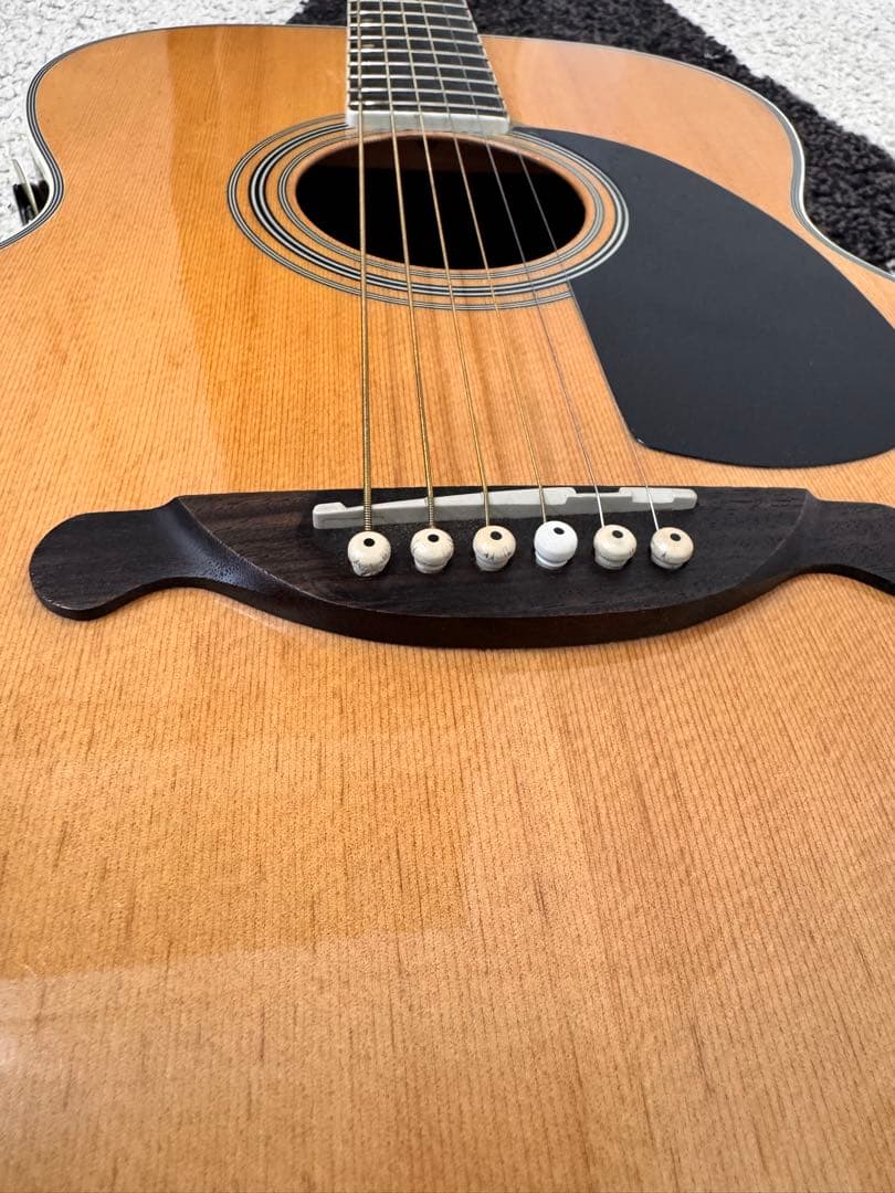 【お得】James JF350NAアコースティックギター ハードケース付き
