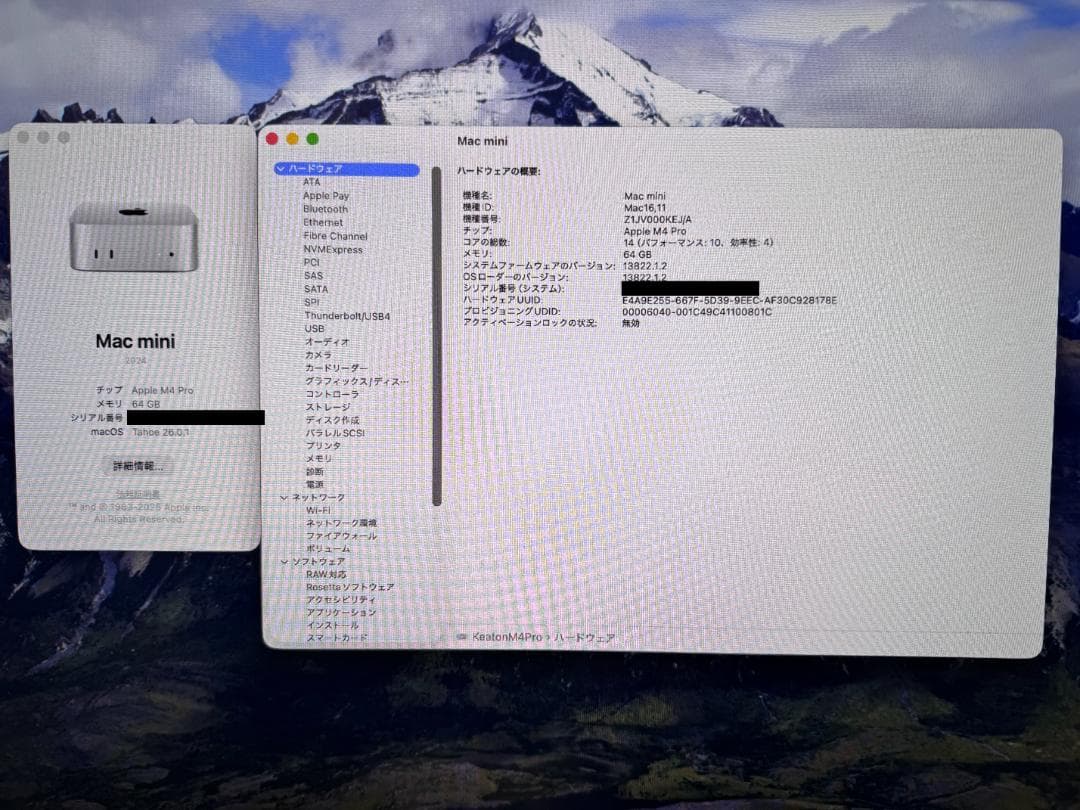 Mac mini M4 Pro 14コア 64GB 1TB 10Gbitイーサ