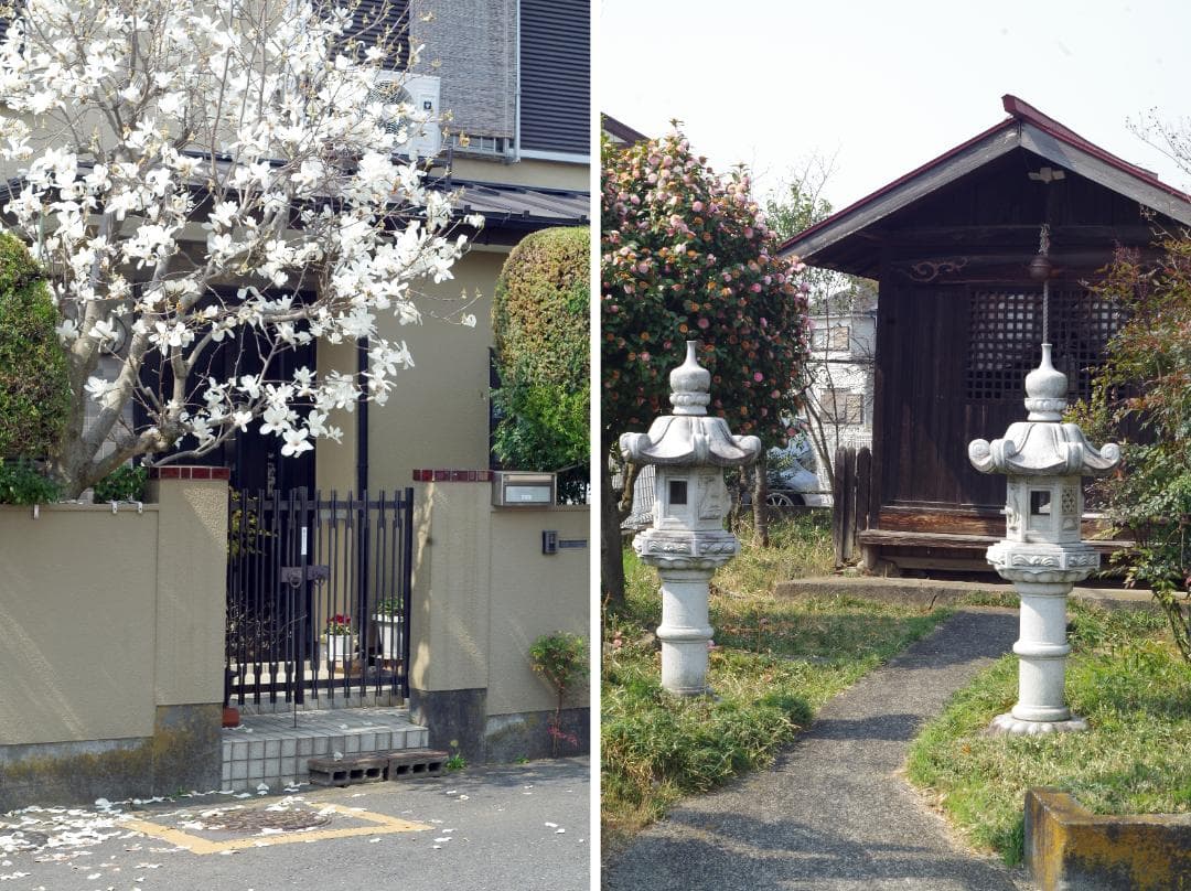 ペンタックスKX pentax kx SMC PENTAX-M 50mm F2