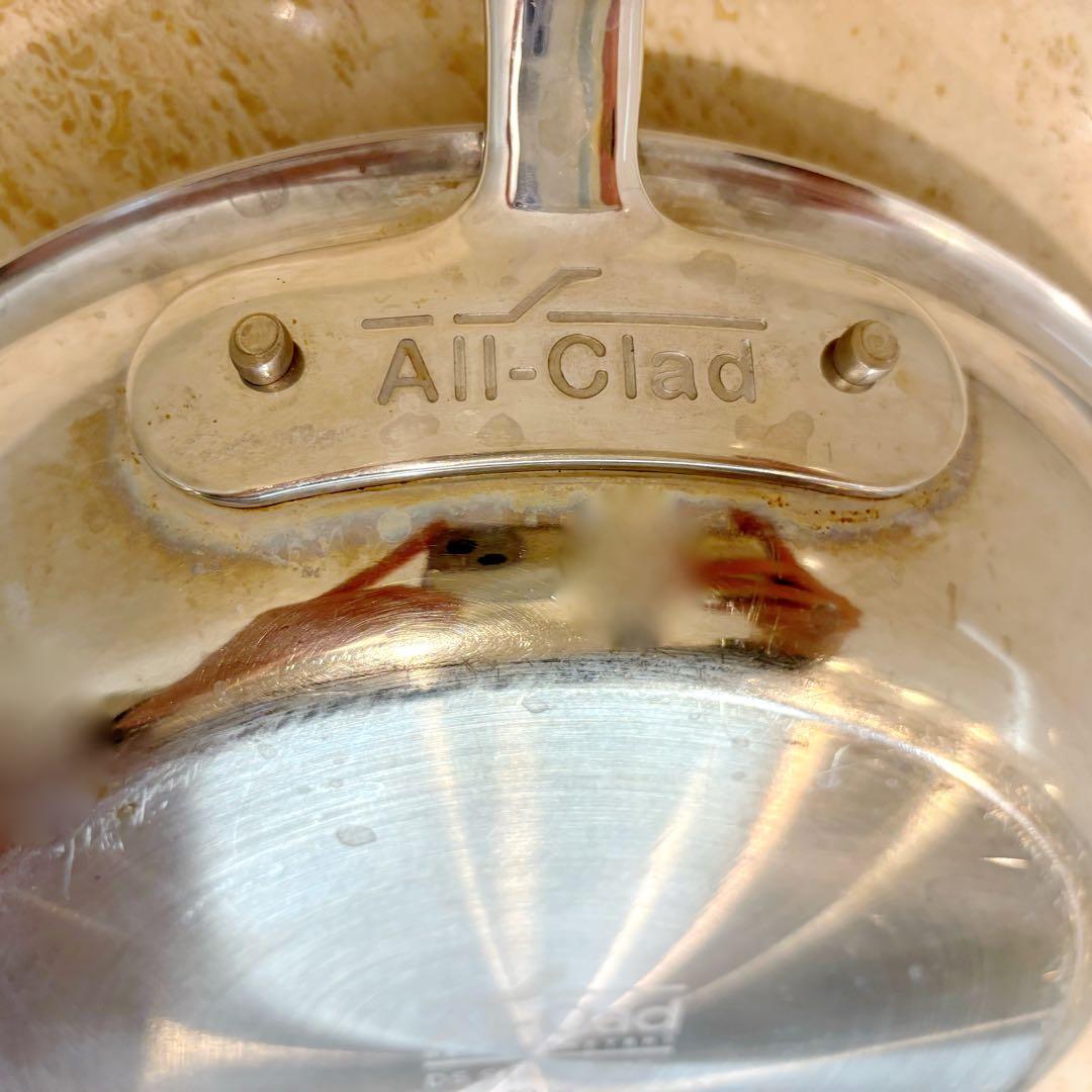 美品☆All-Clad オールクラッド☆ステンレス超高級フライパン☆24.5cm