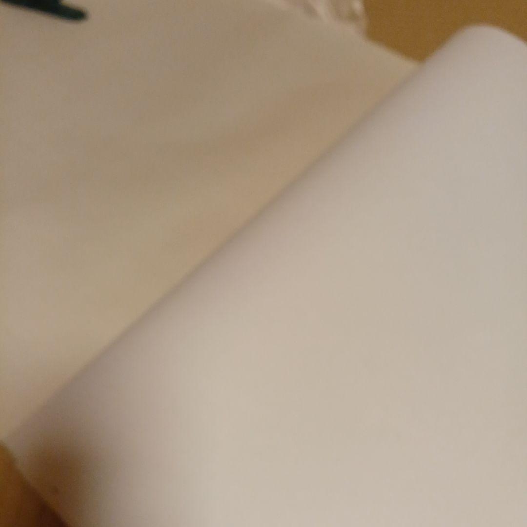 書道　正絹画仙紙53×360cm　10枚