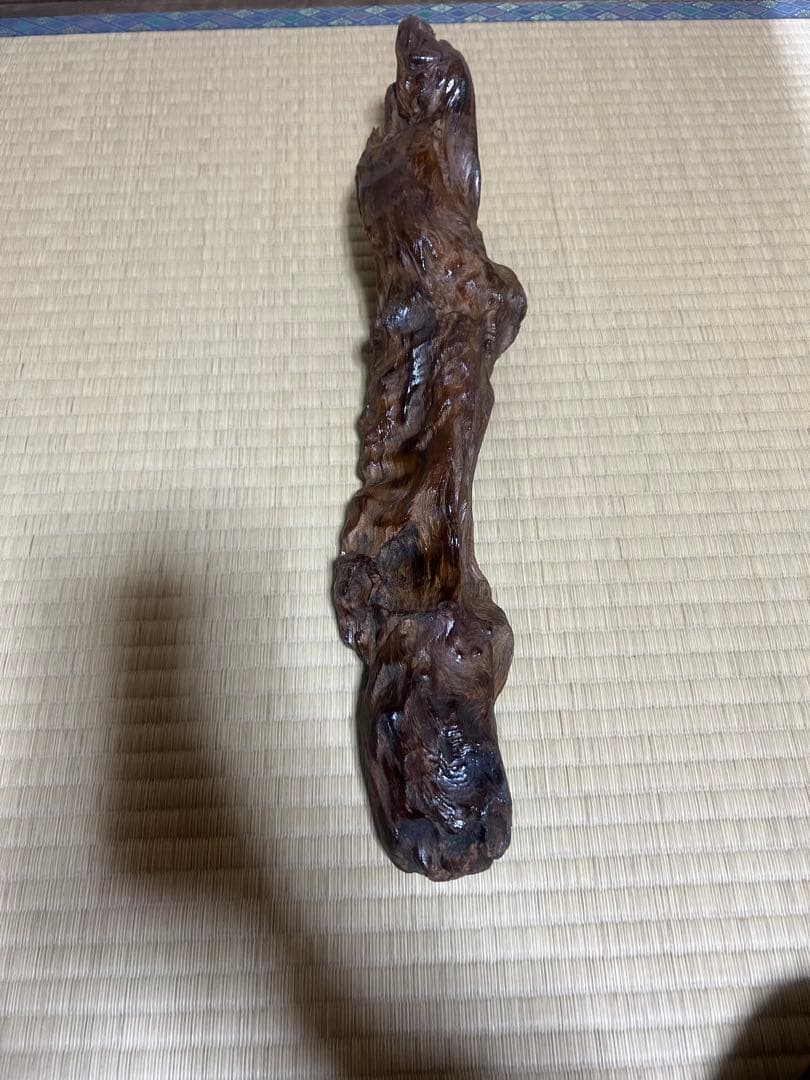 屋久杉　インテリア　瘤　水槽