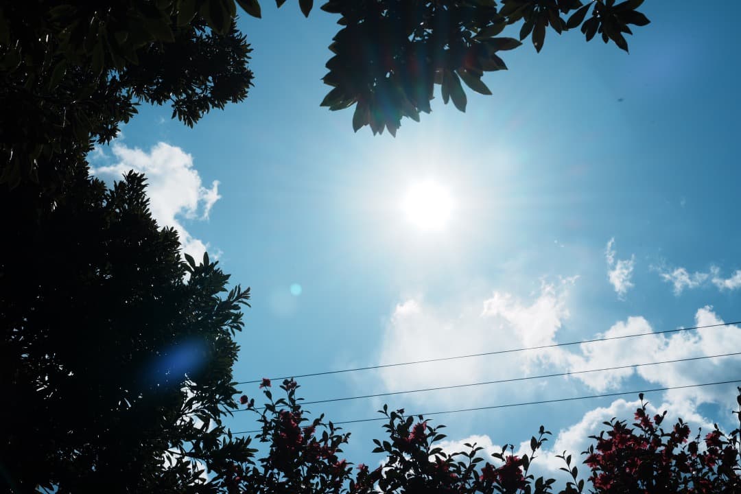 【極美品】神レンズ SONY SEL55F18Z Carl Zeiss 605