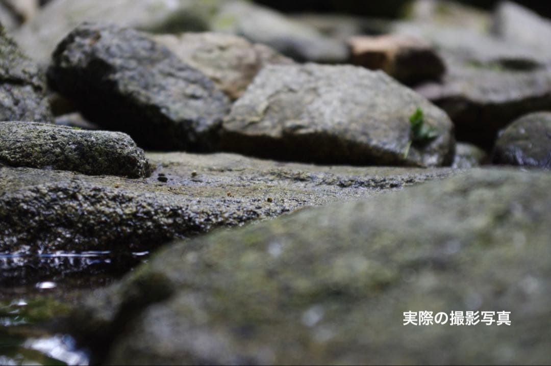 【ペンタックス/PENTAX】デジタル一眼レフカメラkx標準レンズ18-55mm