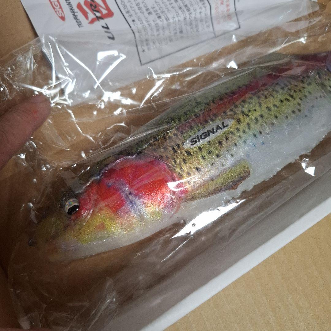 シグナル　ウルトラカープ　USモデル　 ライトレインボートラウト