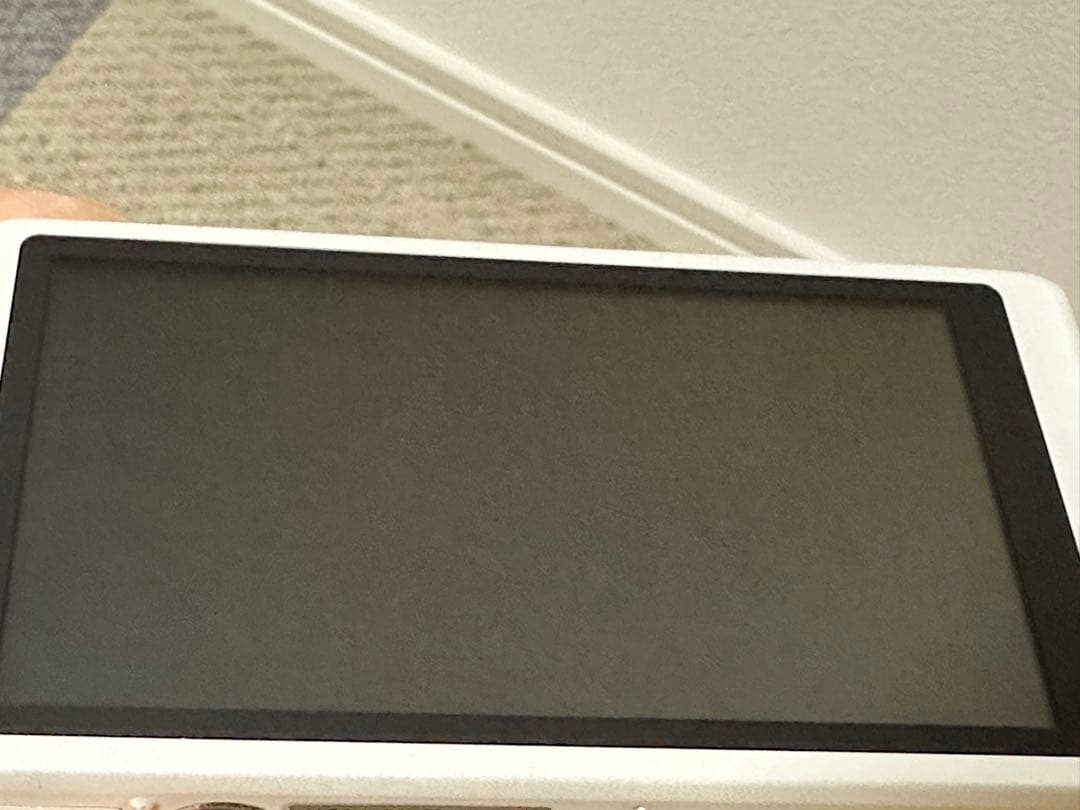 Panasonic LUMIX DMC-FX77 ホワイト　付属品あり