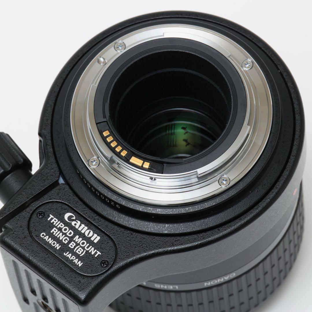 キヤノン Canon MP-E65mm F2.8 1-5X マクロフォト
