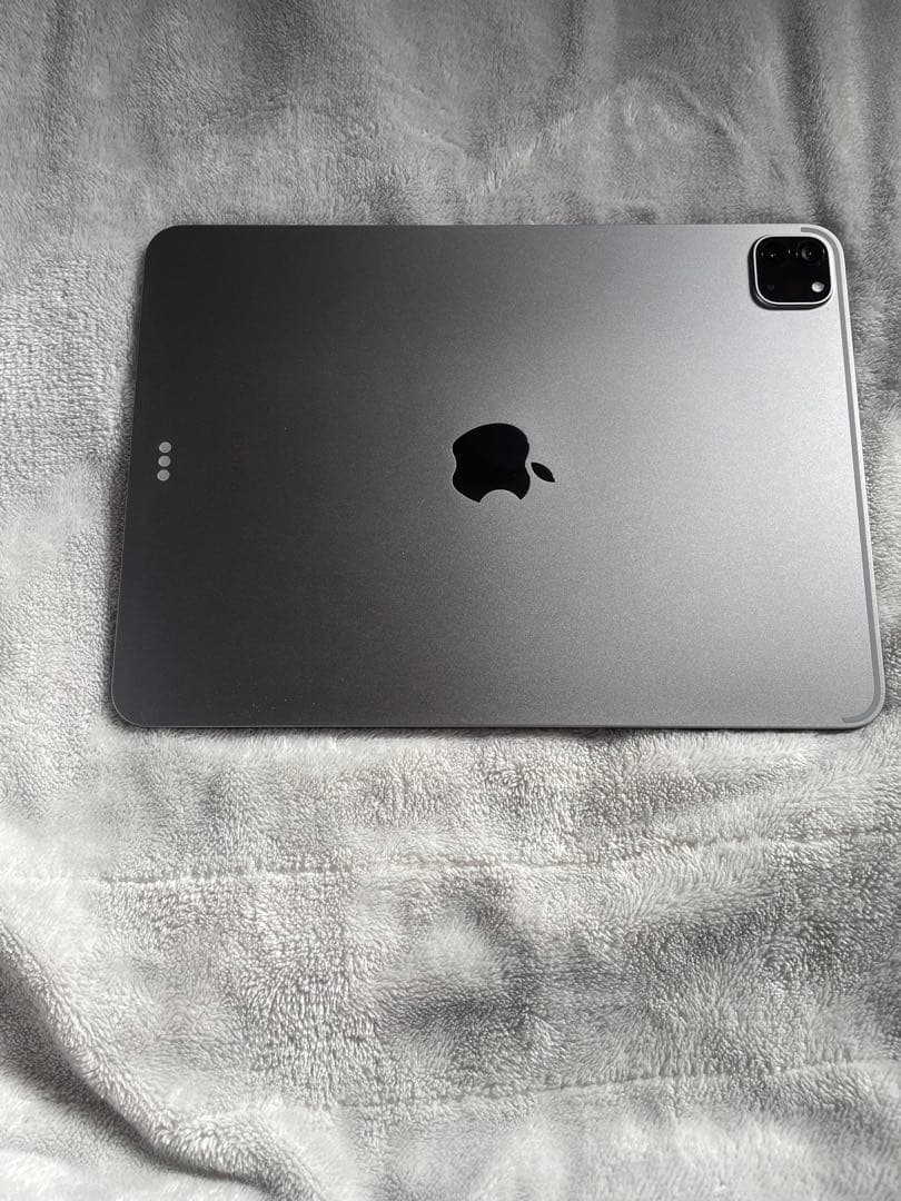 iPad Pro 第四世代256GB 有線LAN、有線ケーブル付