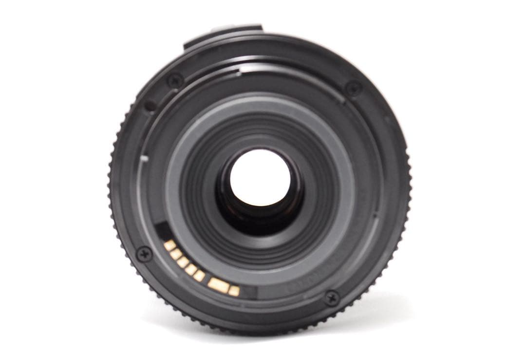 【ショット数極少】初心者にも人気Canon Kiss X2 動作良好