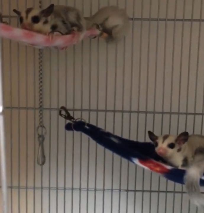 三角コーナーハンモック(迷彩柄Ⅲ)ブリー  夏仕様   2枚組 1200円