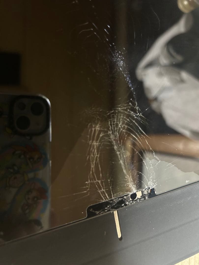 iPad pro 11インチ 第五世代(M4チップ) ジャンク品