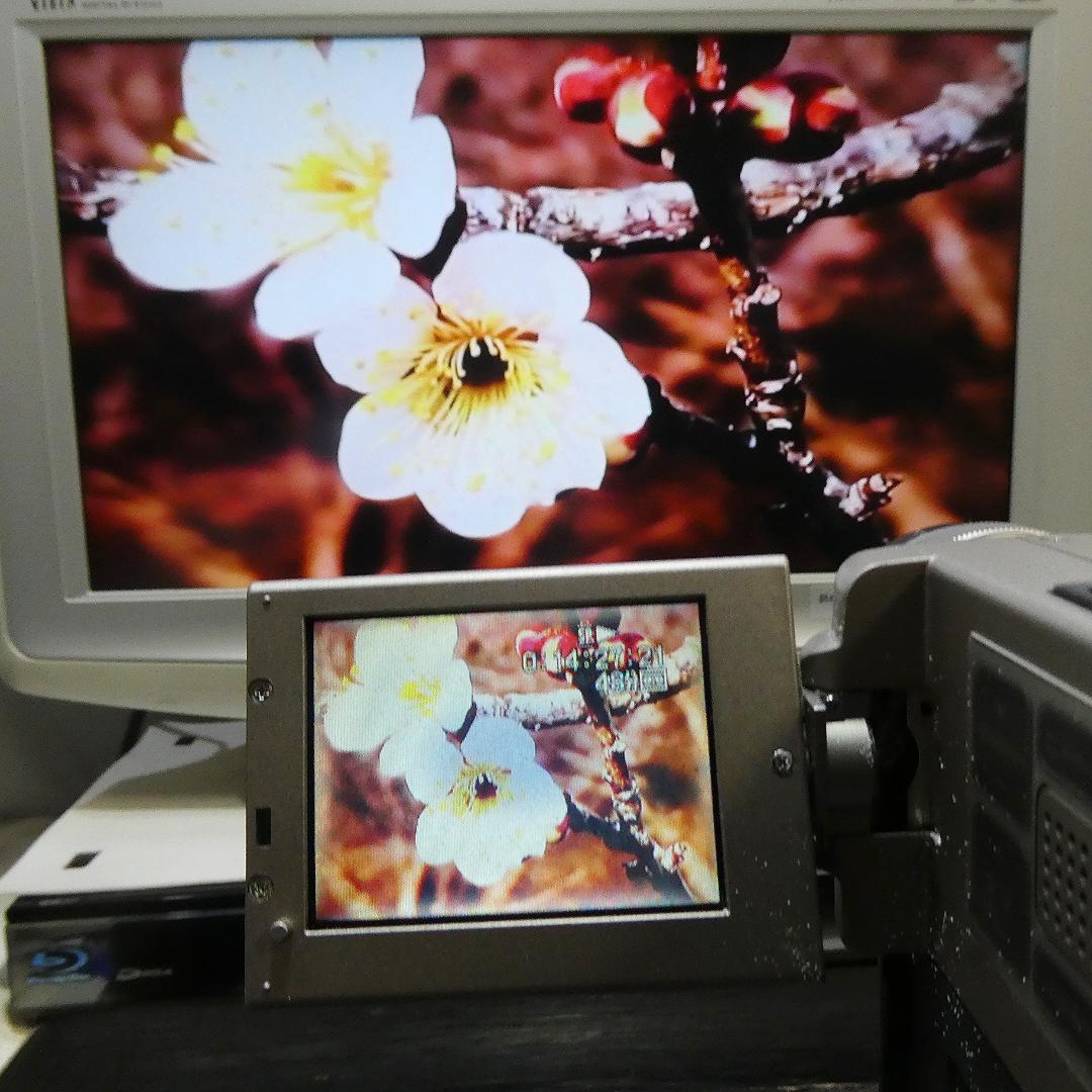 動作品 ソニー DCR-PC7 MiniDVビデオカメラ ダビングに最適 !