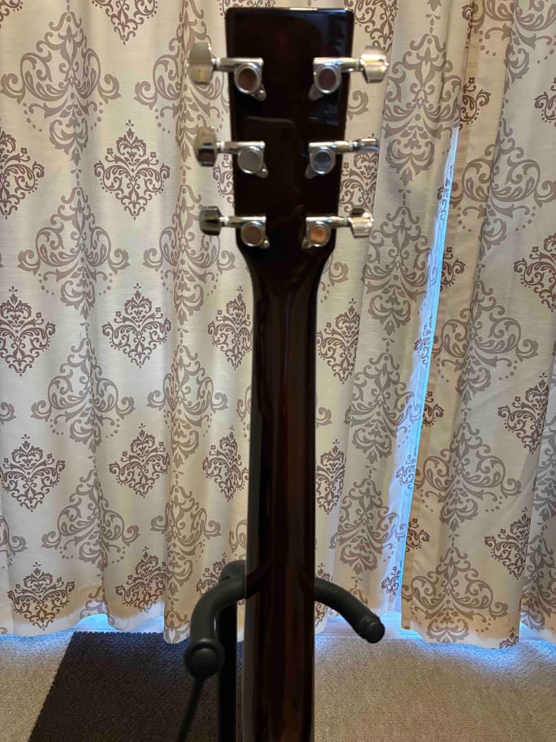 VISION リゾネーターギター　ドブロ　LEVY's高級ケース付き