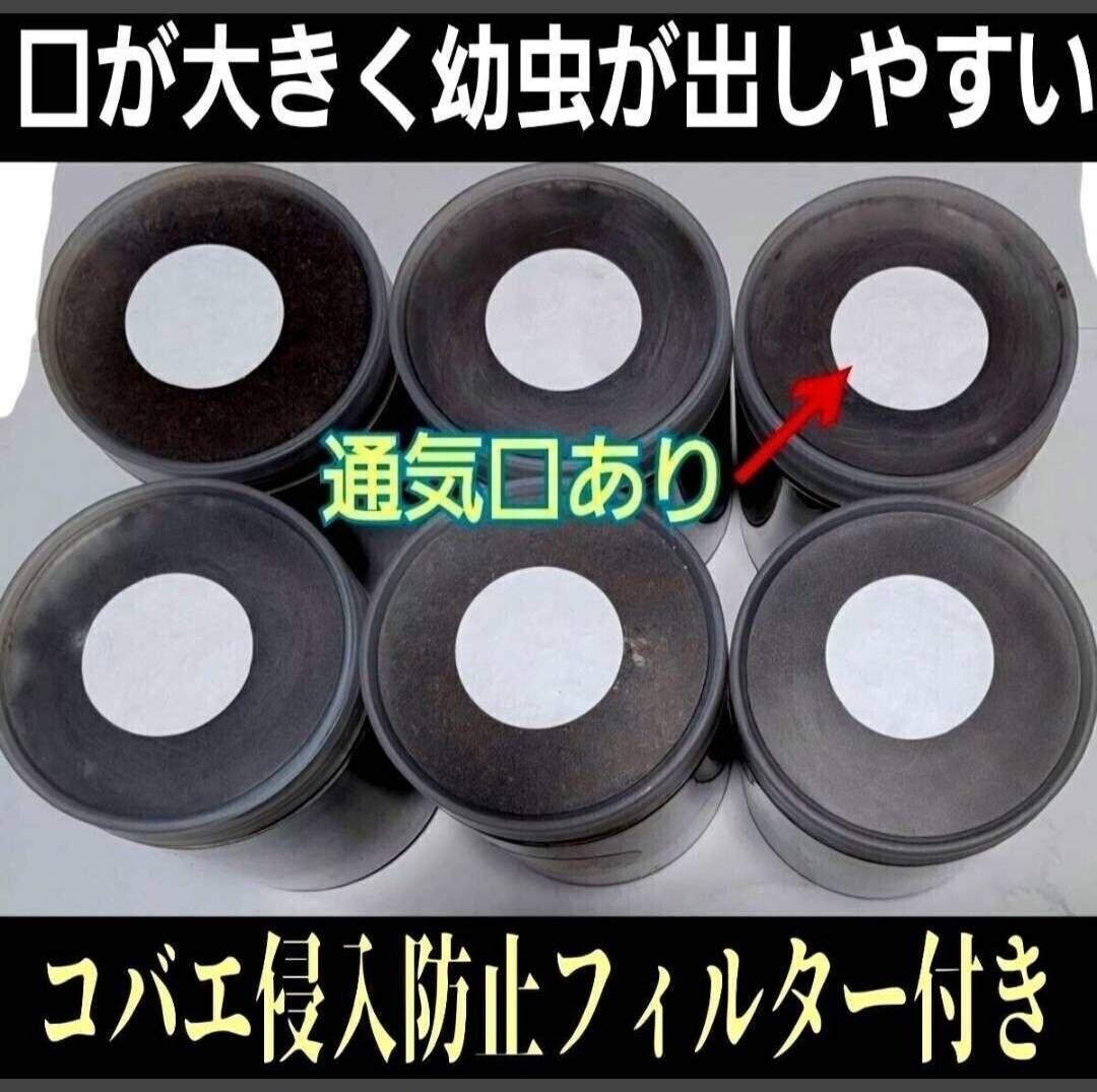発酵マット入り！国産カブトムシ幼虫1頭飼育専用縦長クリアボト【12本セット】
