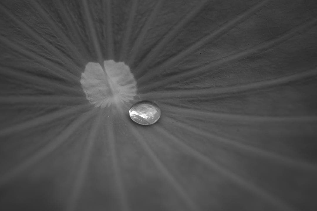 【本日限定価格！】 Minolta M-Rokkor 28mm f2.8