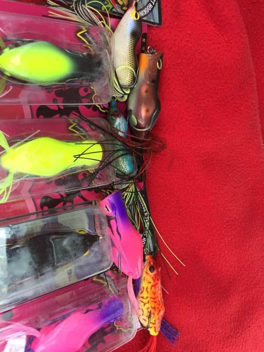 フロッグ アイオビー ガバチョ