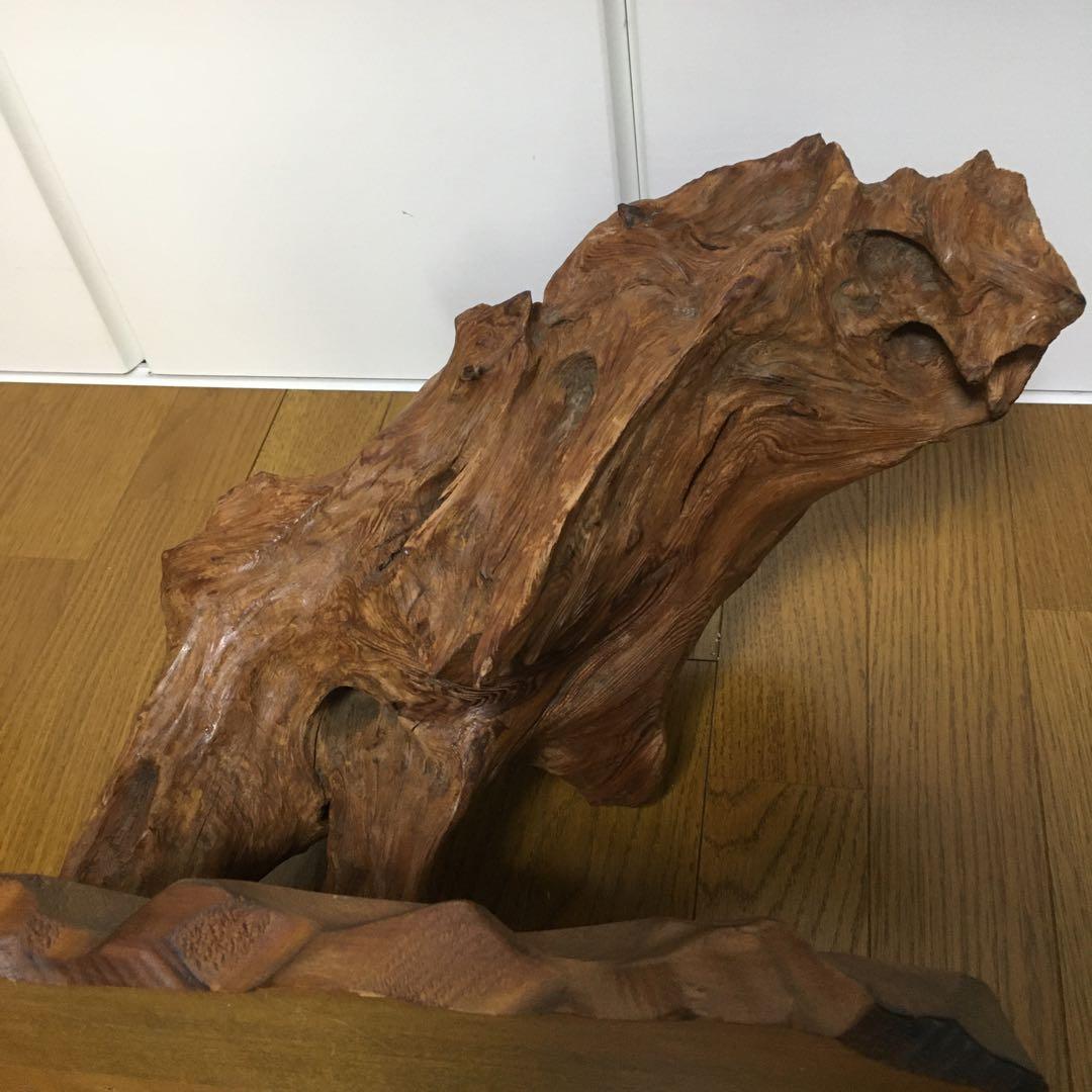 1236 台木　切り株