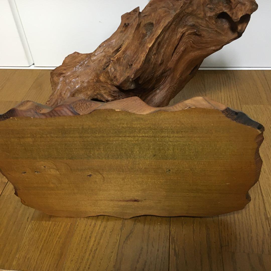 1236 台木　切り株