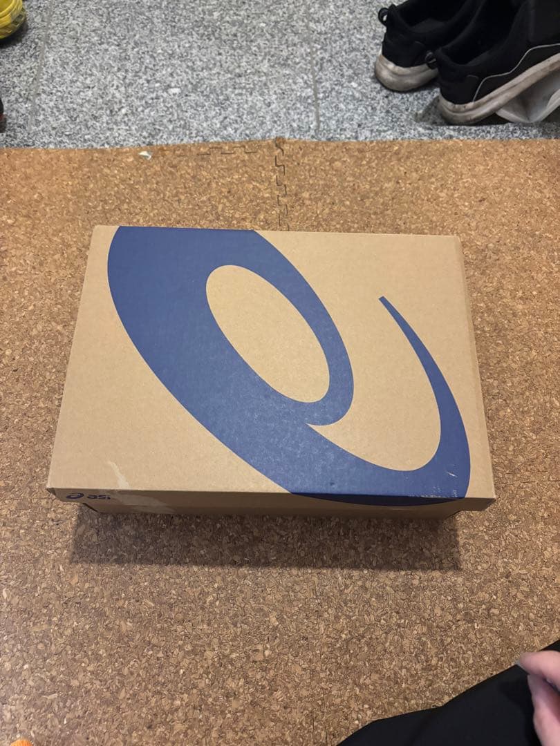 アシックス CP304 BOA 28cm