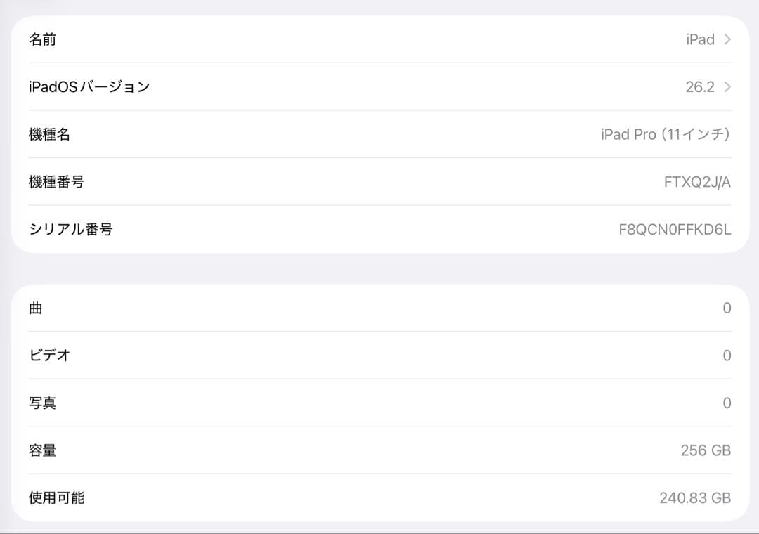 iPadPro11インチ 第一世代 Wi-Fiモデル 256GB スペースグレイ