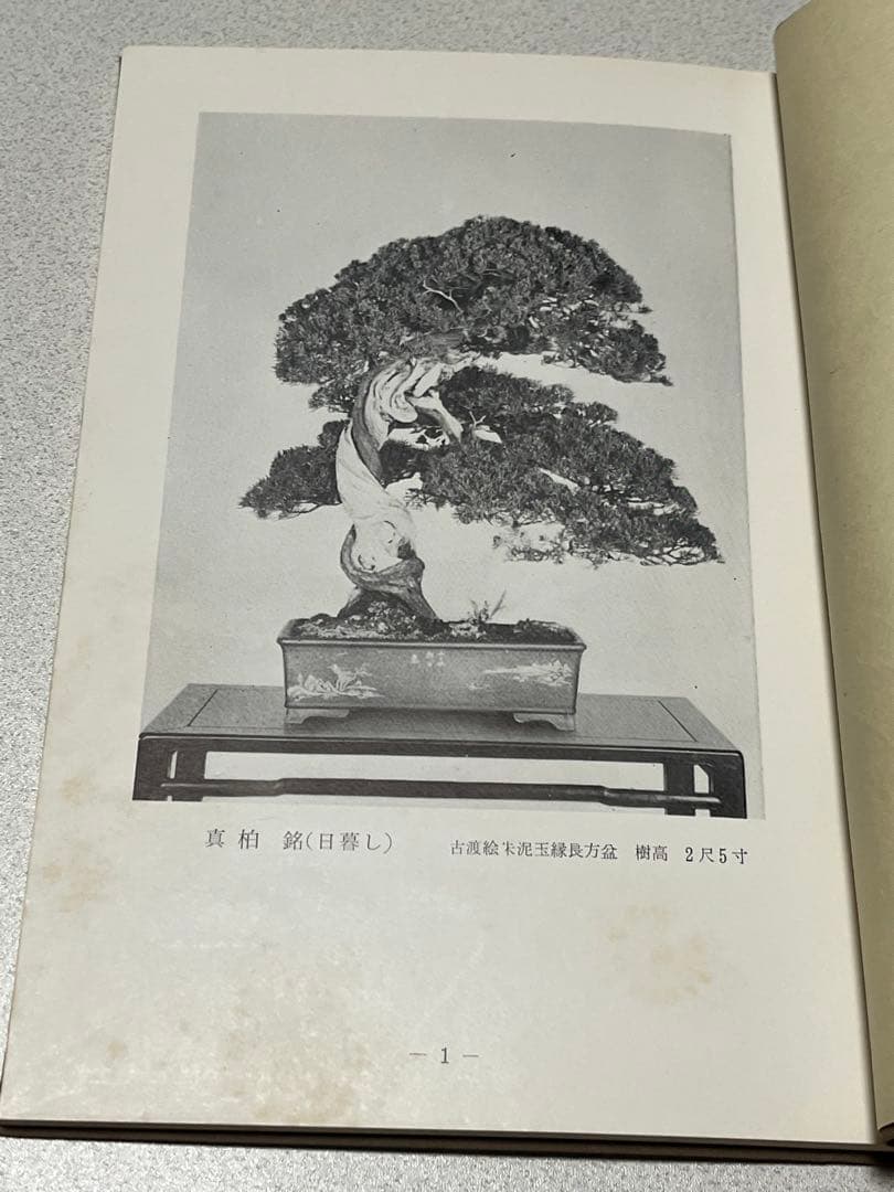 記念帖　盆栽　盆栽鉢　水石