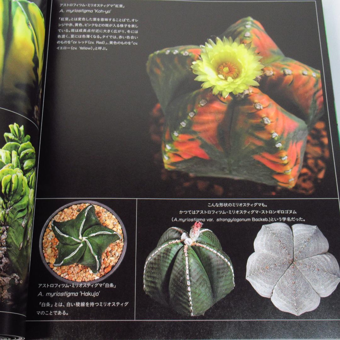 ひろ　サボテン全書 All about CACTUS 【貴重本 初版】