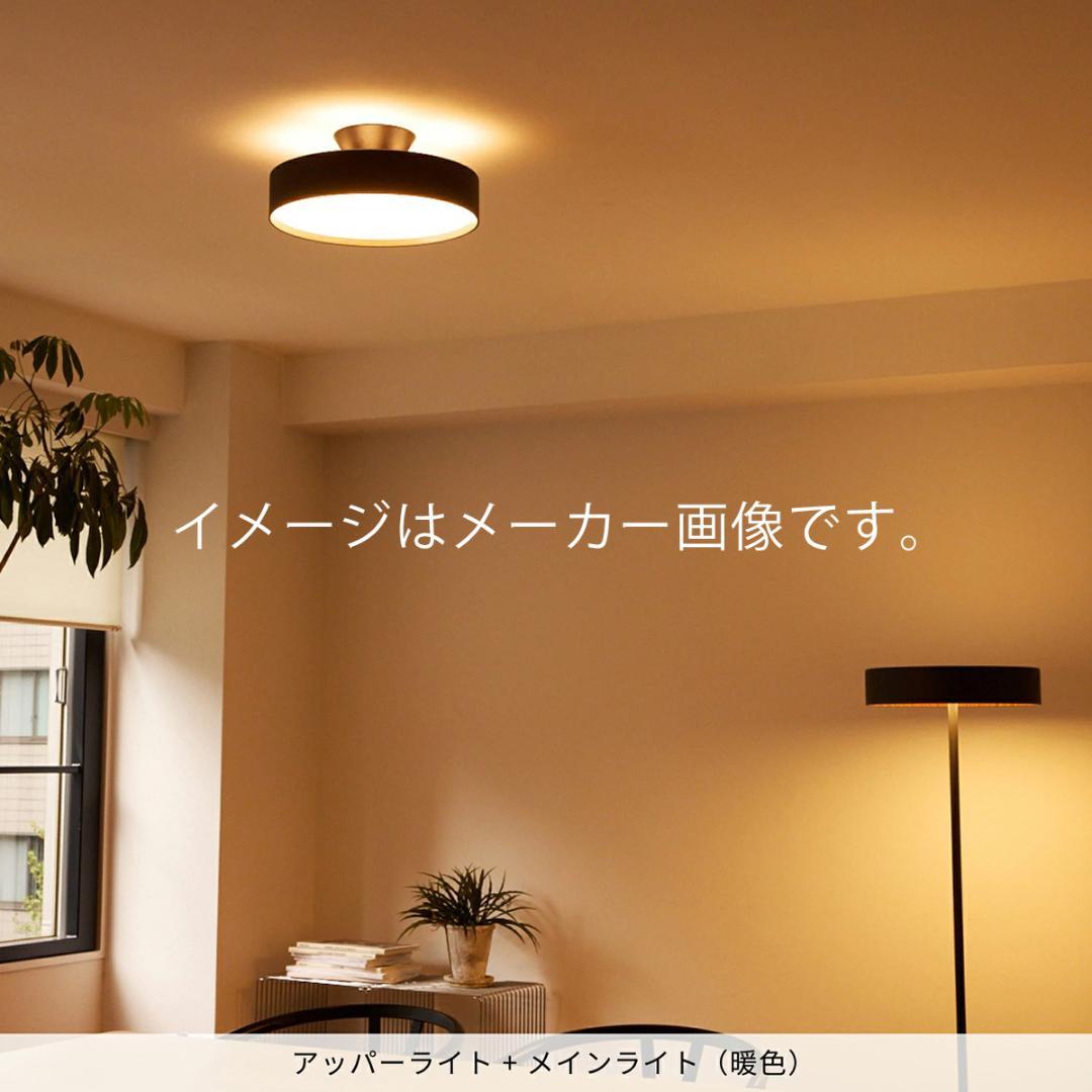 新品未使用　8畳用 アートワークスタジオ グロー4000 シーリングライト